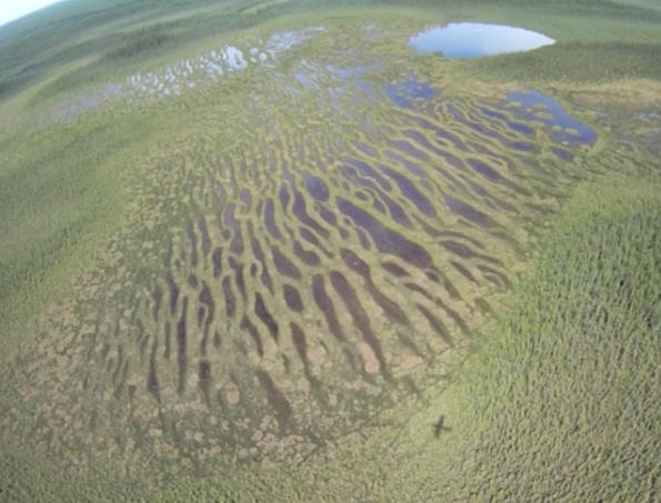 Passage en avion au-dessus de la tourbière