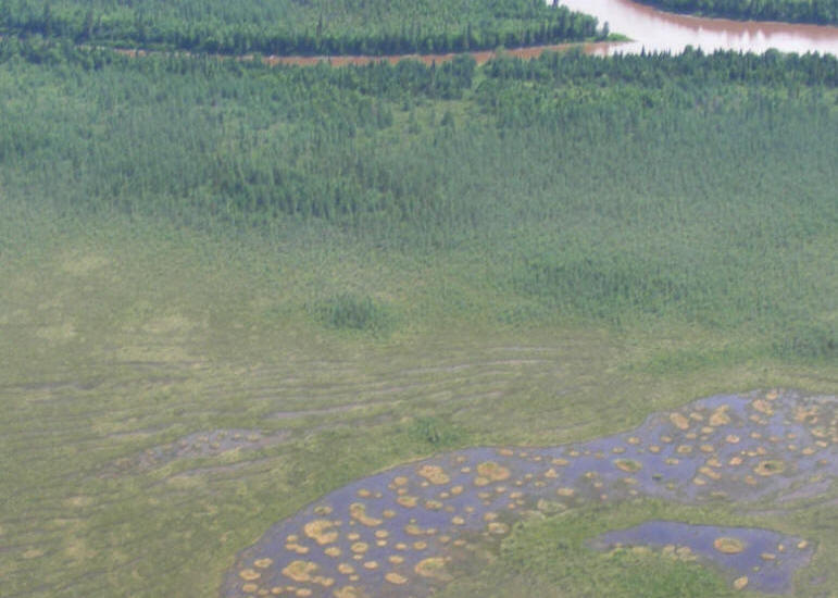 Ile Cikwanikaci et rivière Laflamme