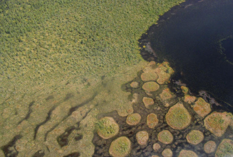 Photo aérienne de la tourbière Cikwanikaci