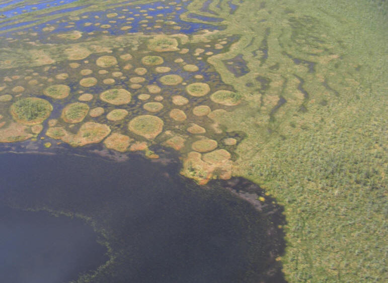 Photo aérienne de la tourbière Cikwanikaci