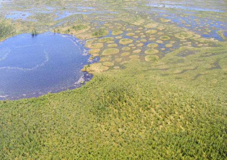 Photo aérienne de la tourbière Cikwanikaci