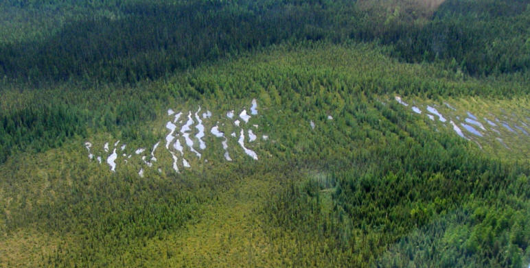 Photo aérienne de la tourbière Cikwanikaci
