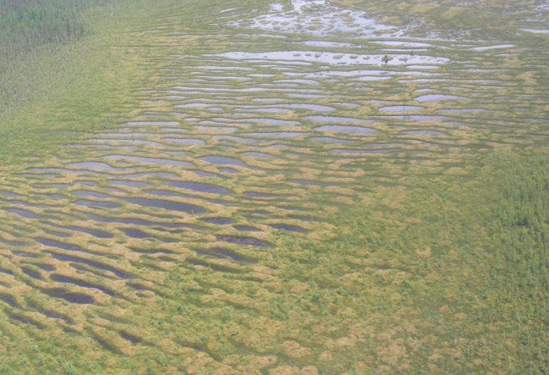 Photo aérienne de la tourbière Cikwanikaci